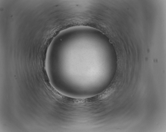 X0000068810624200605051146