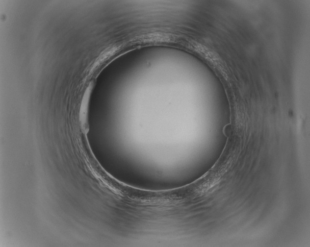 X0000068810625200605051146