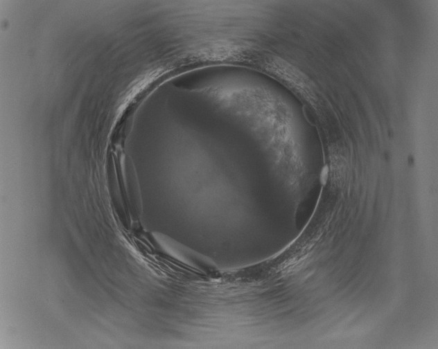 X0000068810626200605051146