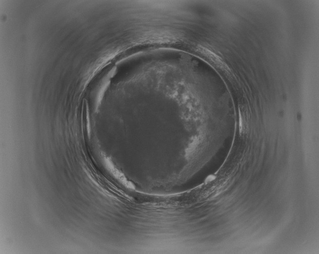 X0000068810627200605051146