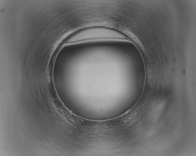 X0000068810628200605051146