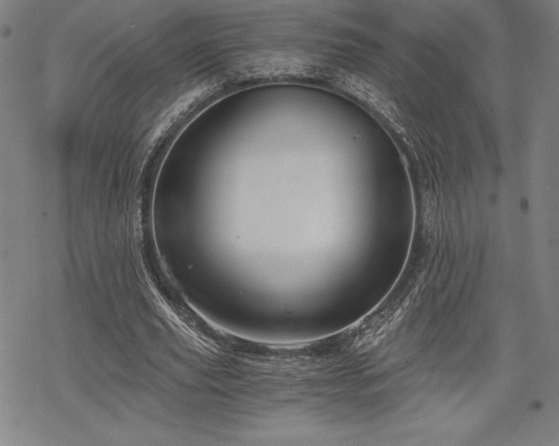 X0000068810629200605051146