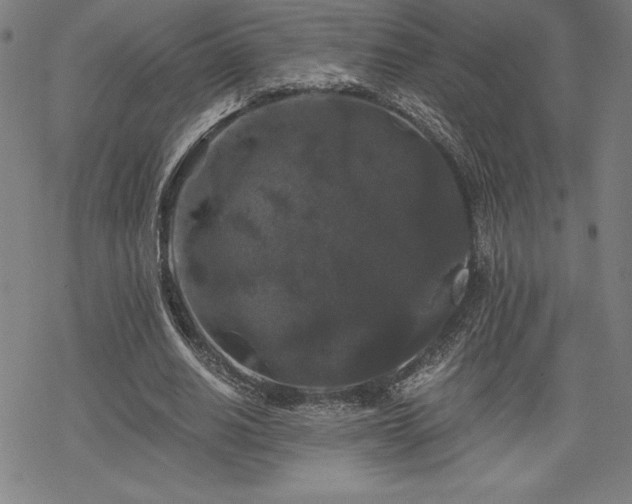 X0000068810630200605051146