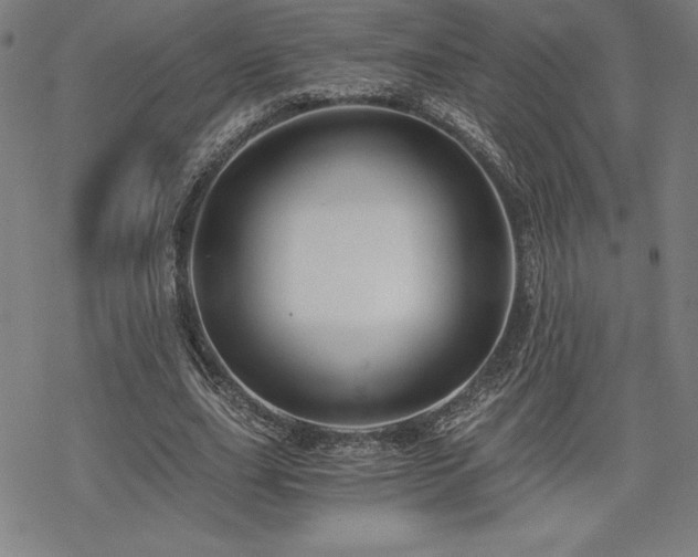 X0000068810631200605051146