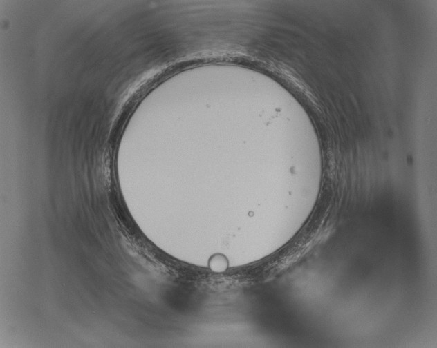 X0000068810632200605051146