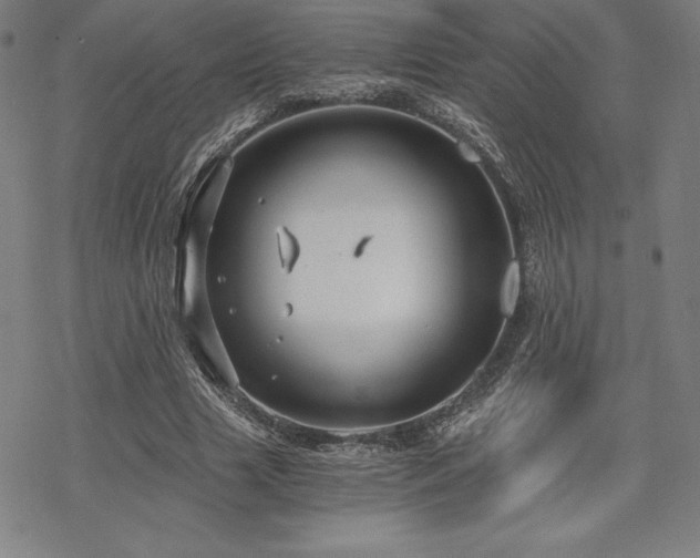 X0000068810633200605051146