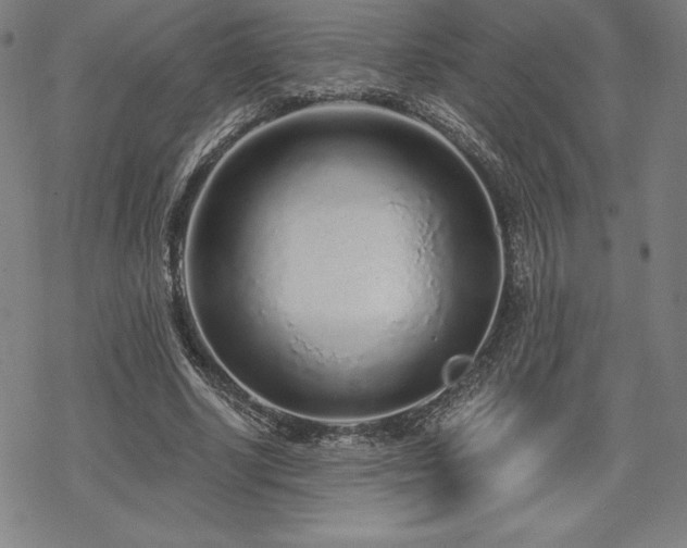 X0000068810634200605051146