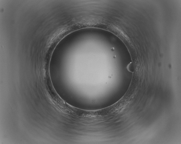 X0000068810635200605051146