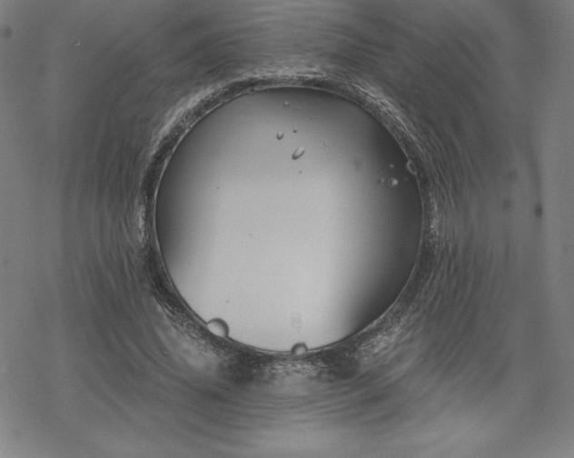 X0000068810636200605051146