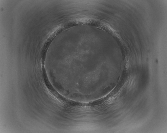 X0000068810637200605051146