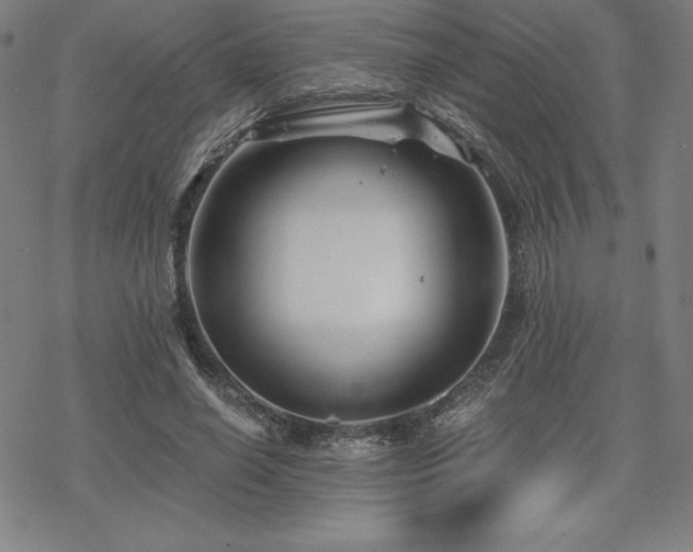 X0000068810638200605051146