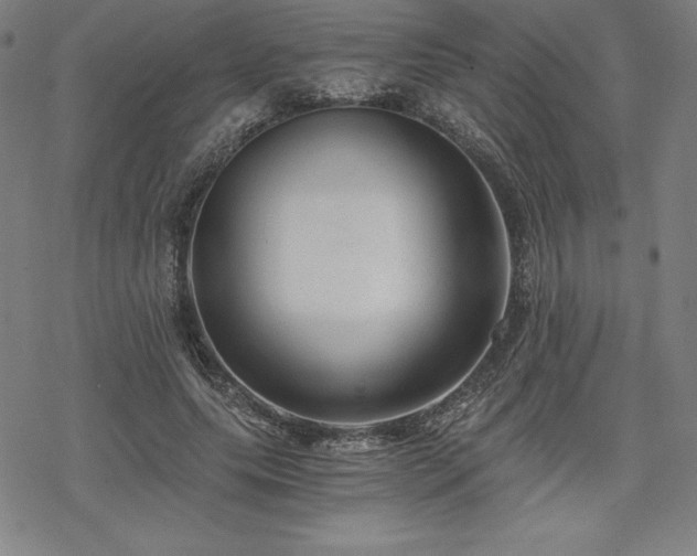 X0000068810639200605051146