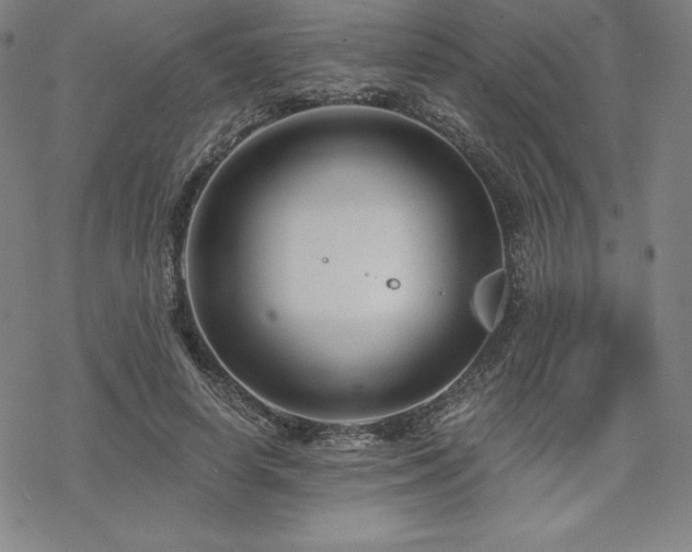 X0000068810642200605051146