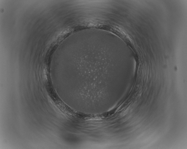 X0000068810643200605051146