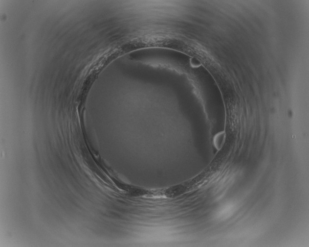 X0000068810644200605051146