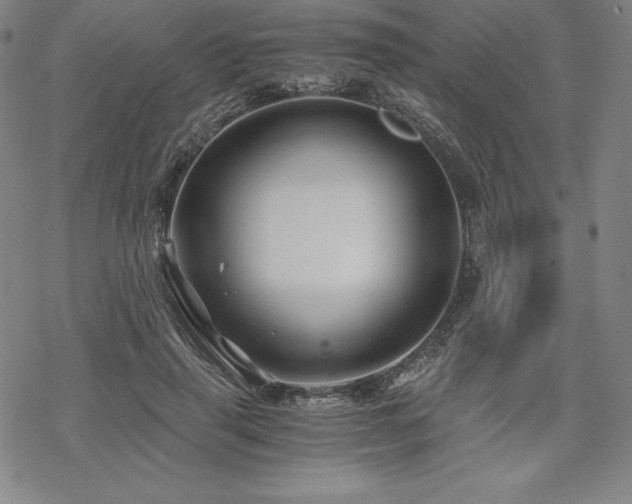 X0000068810645200605051146