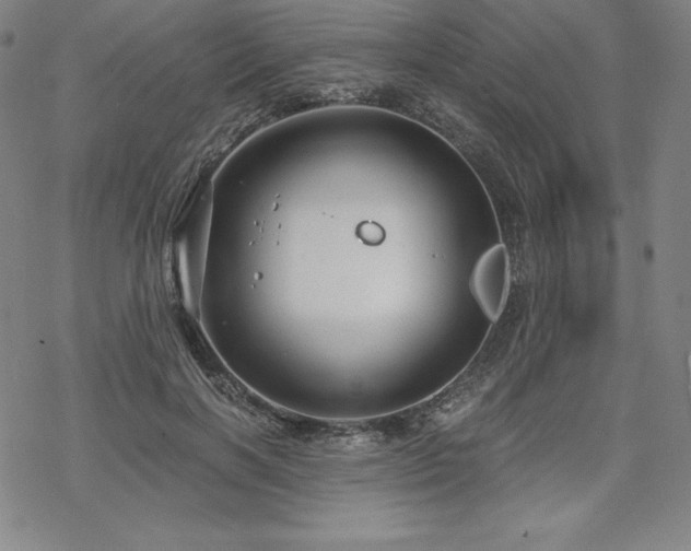 X0000068810646200605051146