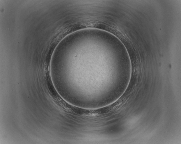 X0000068810647200605051146