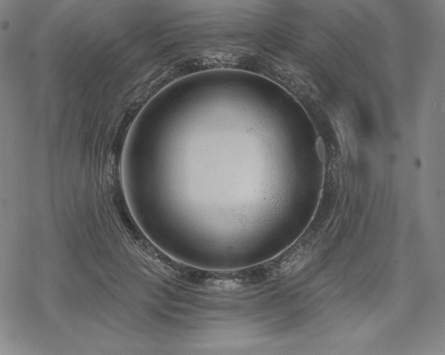 X0000068810649200605051146