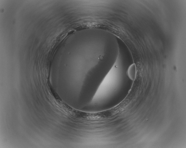 X0000068810650200605051146