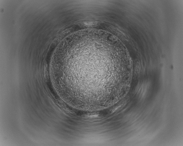 X0000068810651200605051146