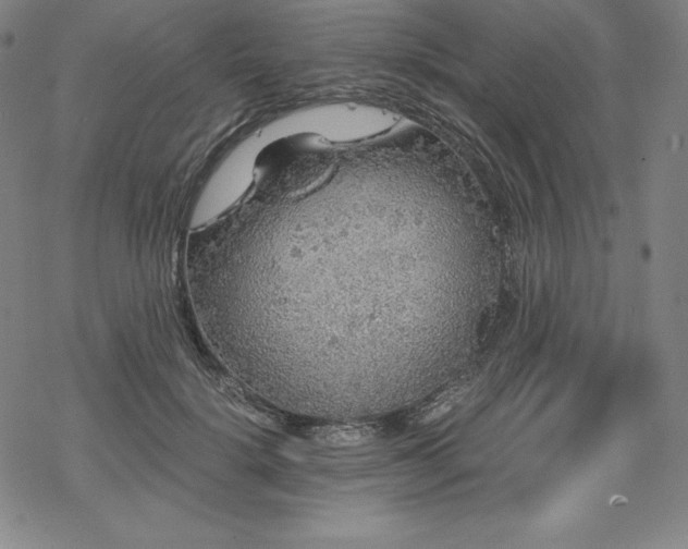 X0000068810652200605051146