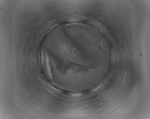 X0000068810653200605051146