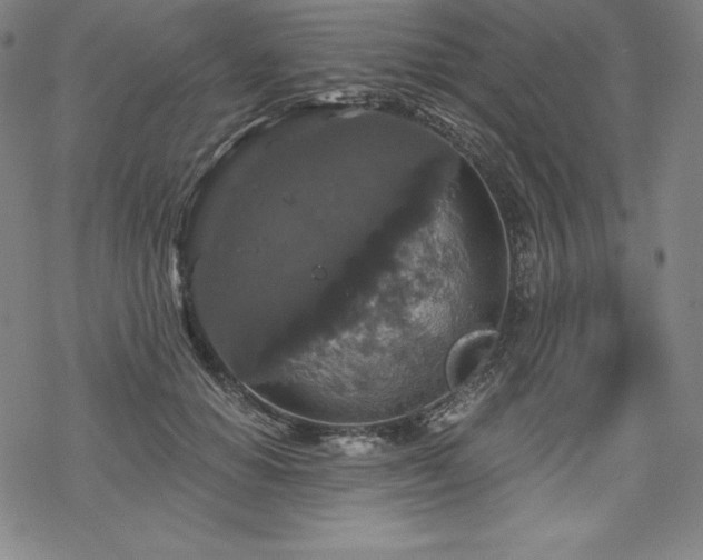 X0000068810654200605051146