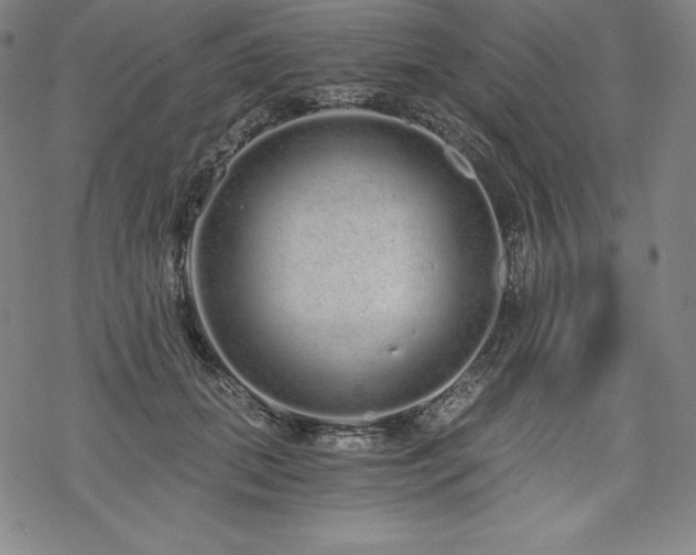 X0000068810655200605051146