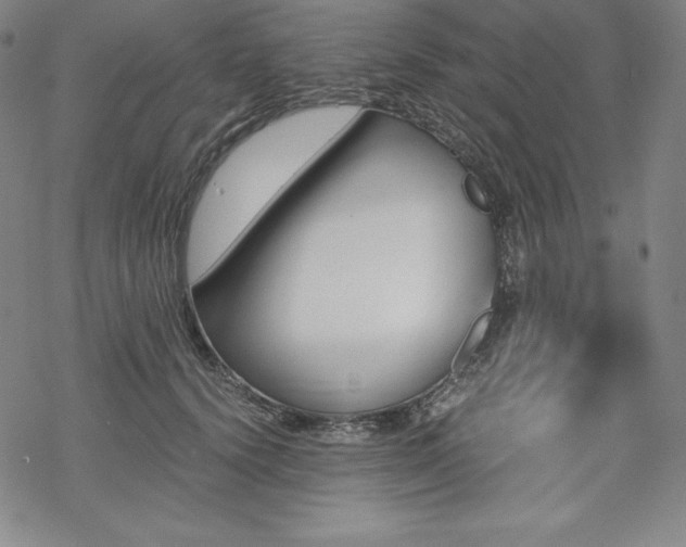 X0000068810656200605051146