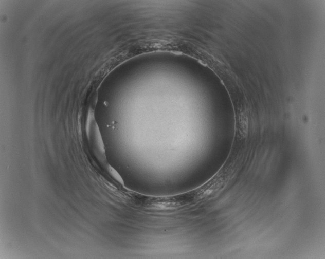 X0000068810657200605051146