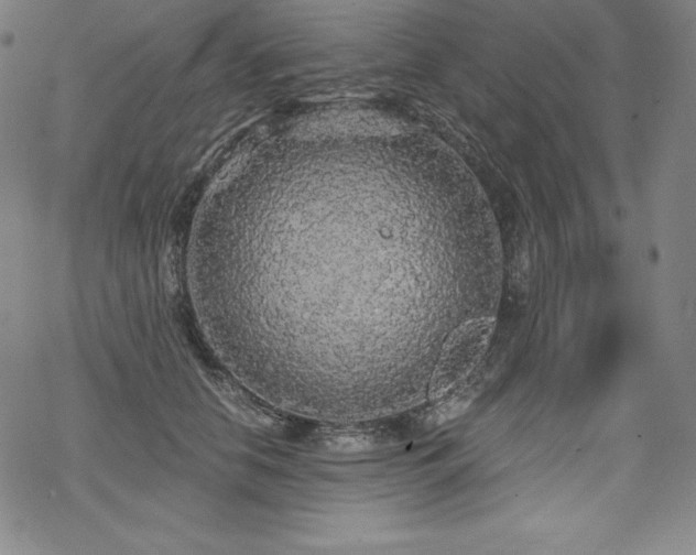 X0000068810658200605051146