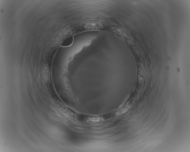 X0000068810659200605051146