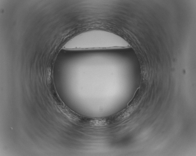 X0000068810660200605051146