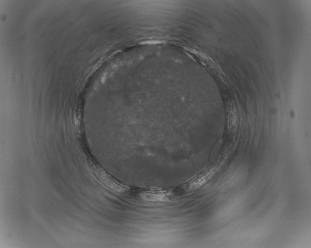 X0000068810661200605051146