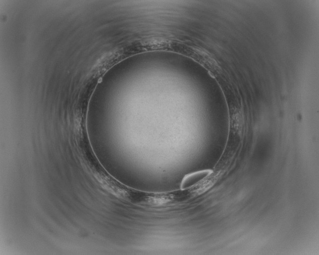 X0000068810662200605051146