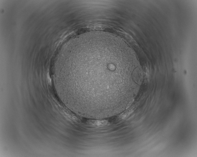 X0000068810663200605051146