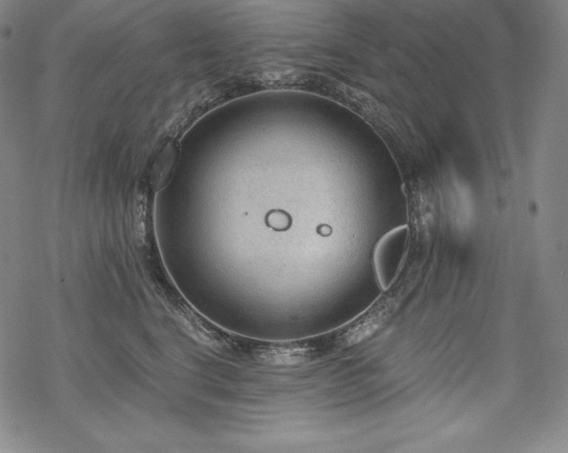 X0000068810664200605051146