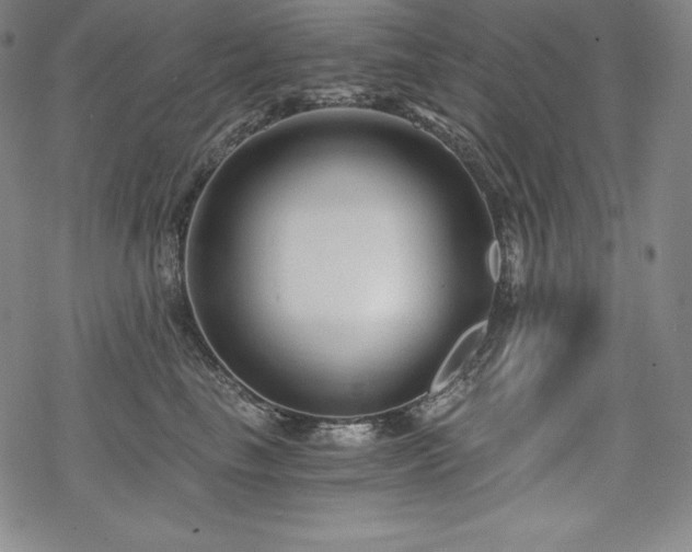 X0000068810665200605051146