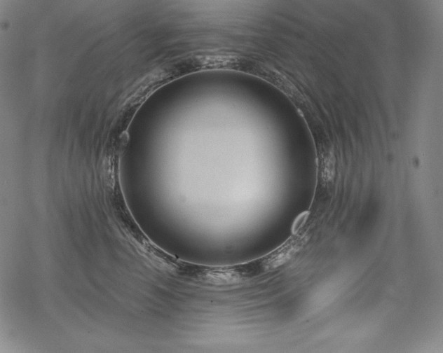 X0000068810666200605051146