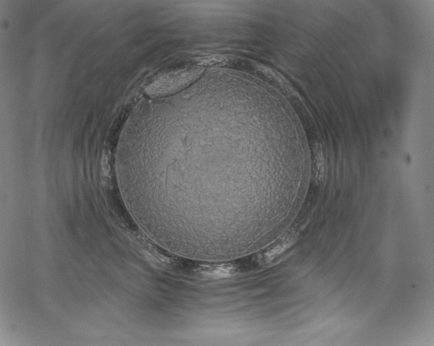 X0000068810667200605051146