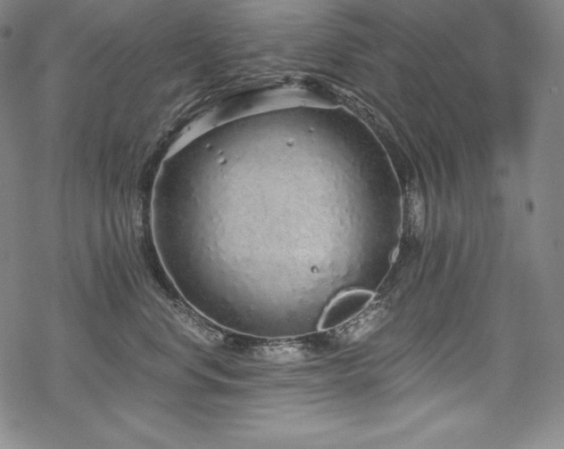 X0000068810668200605051146