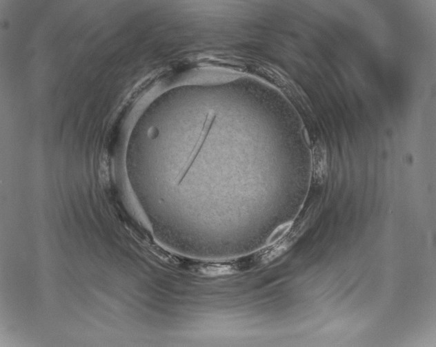 X0000068810669200605051146