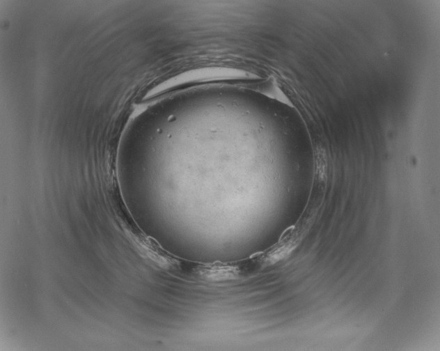 X0000068810670200605051146