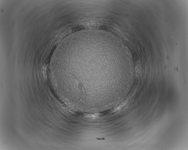 X0000068810671200605051146