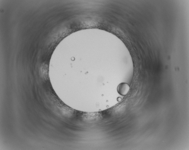 X0000068810672200605051146