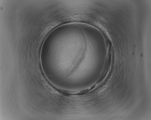 X0000068810673200605051146