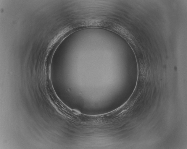 X0000068810674200605051146