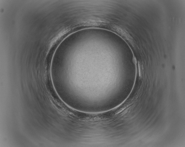 X0000068810675200605051146