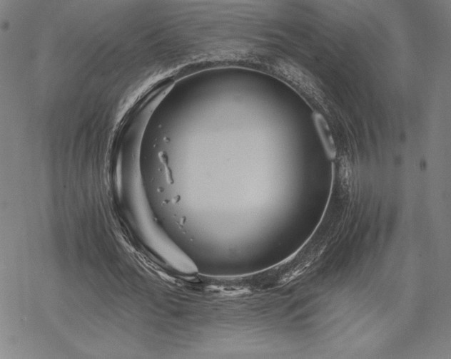 X0000068810676200605051146